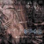 CD Into the Gore "Pain must be amplified"